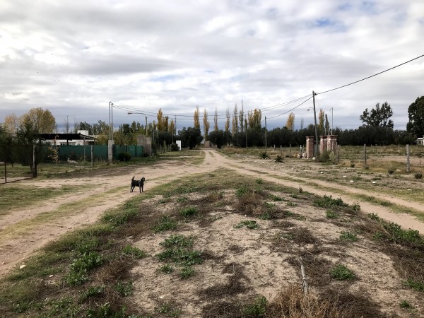 TERRENOS SOBRE CALLE VALENTIN BIANCHI