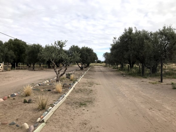 TERRENOS SOBRE CALLE VALENTIN BIANCHI