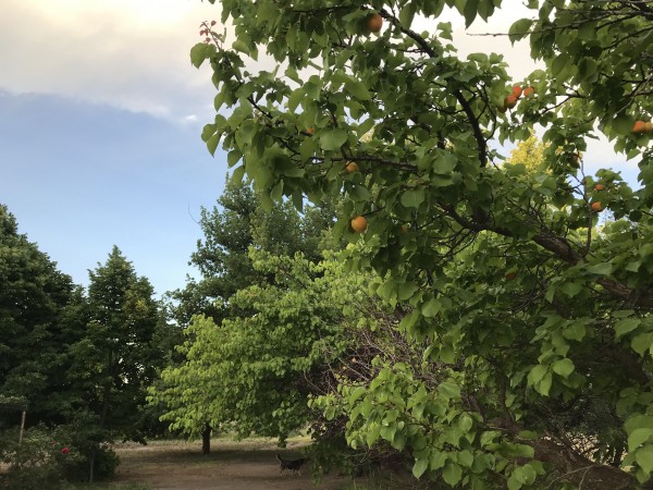 Finca de 2,8 hectareas con casa y galpon 