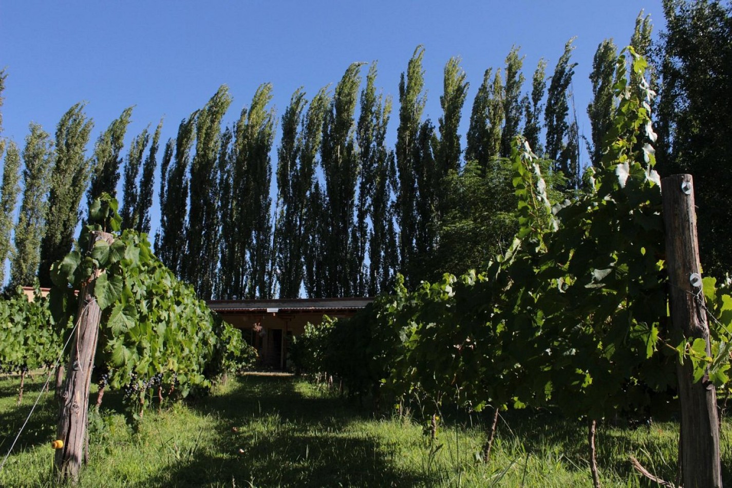 HERMOSA POSADA Y CASA DE CAMPO