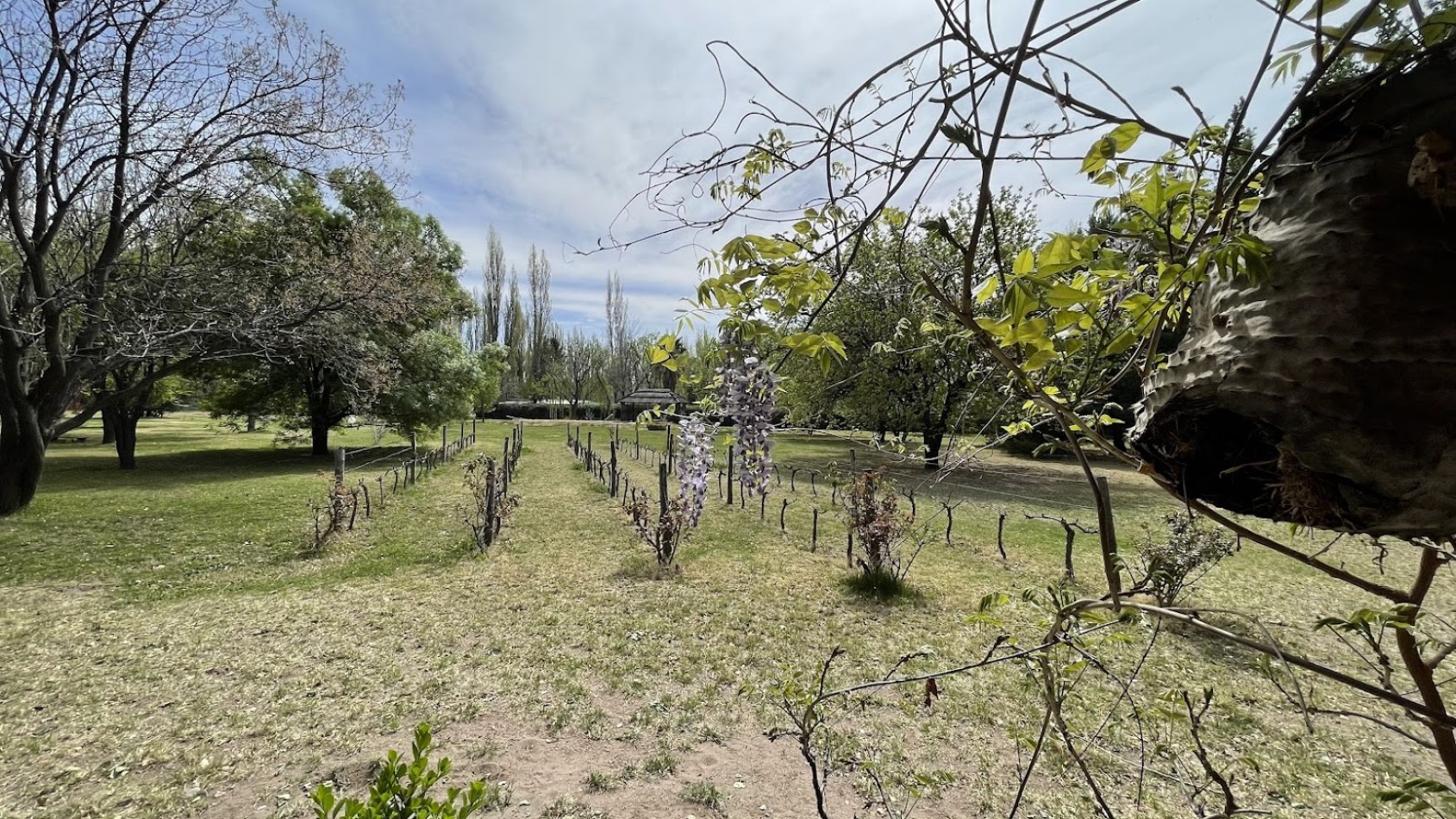 HERMOSA POSADA Y CASA DE CAMPO