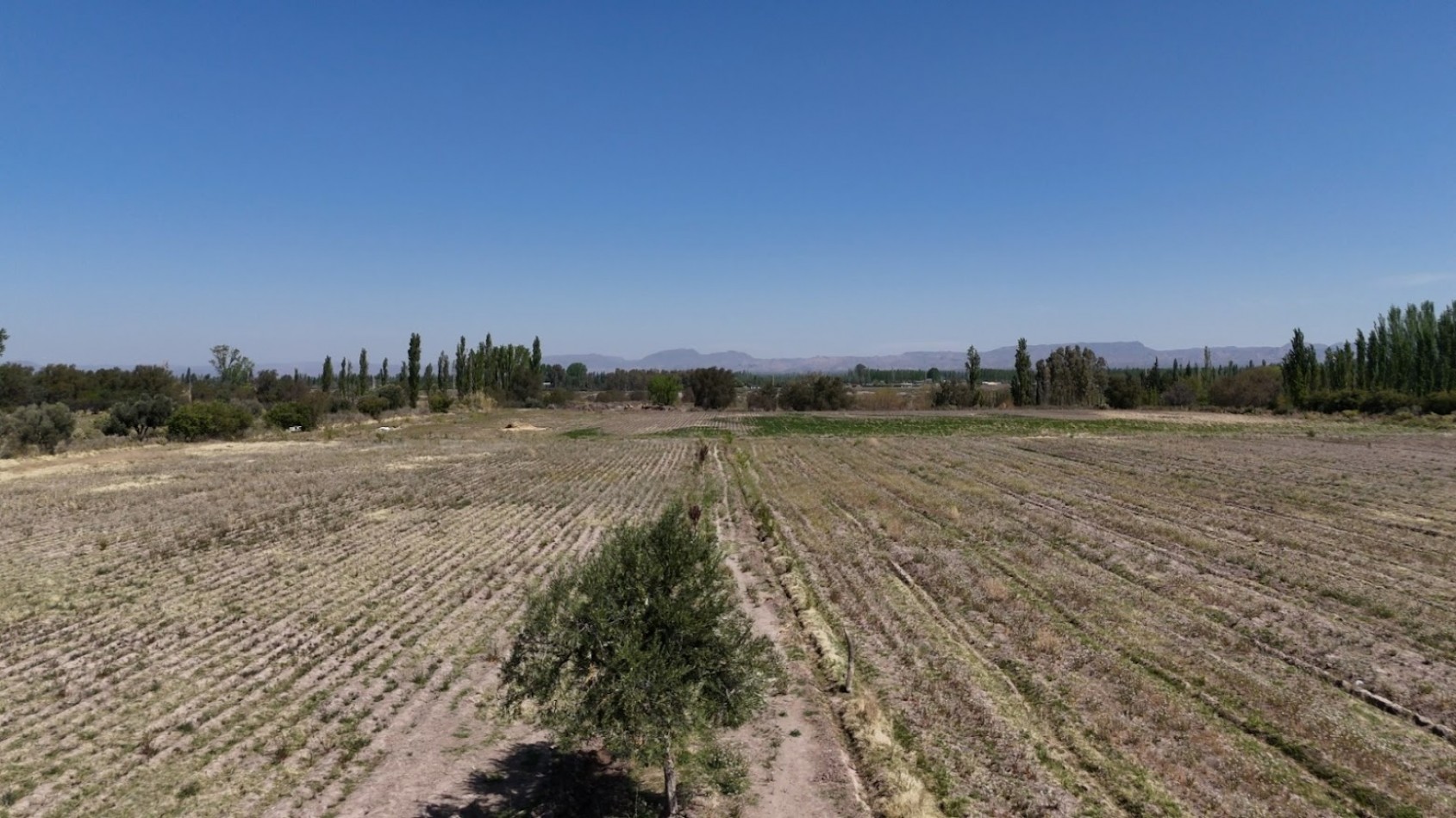 GRAN COMPLEJO AGROTURISTICO DE CABAÑAS Y FINCA