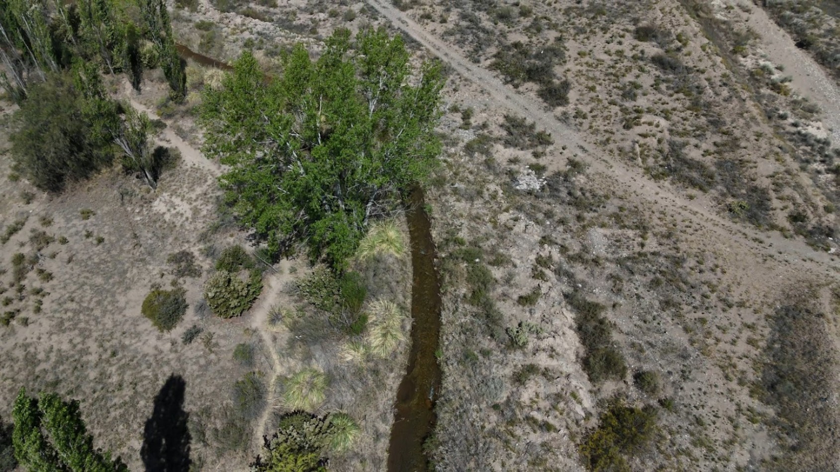 GRAN COMPLEJO AGROTURISTICO DE CABAÑAS Y FINCA