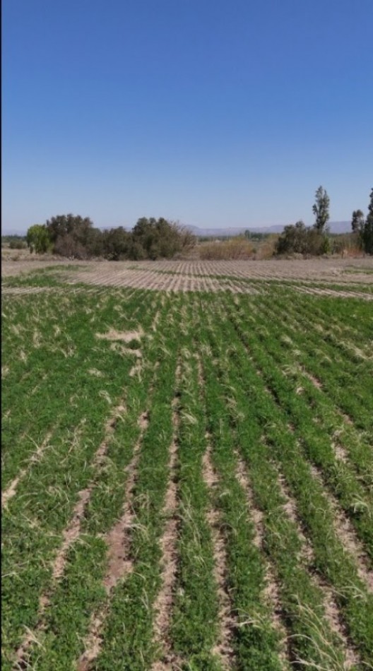 GRAN COMPLEJO AGROTURISTICO DE CABAÑAS Y FINCA