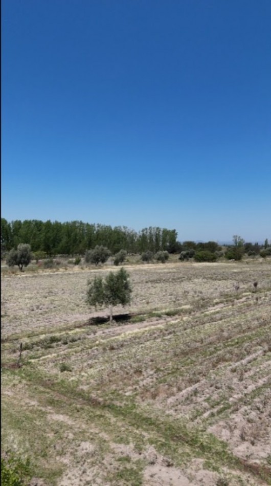 GRAN COMPLEJO AGROTURISTICO DE CABAÑAS Y FINCA