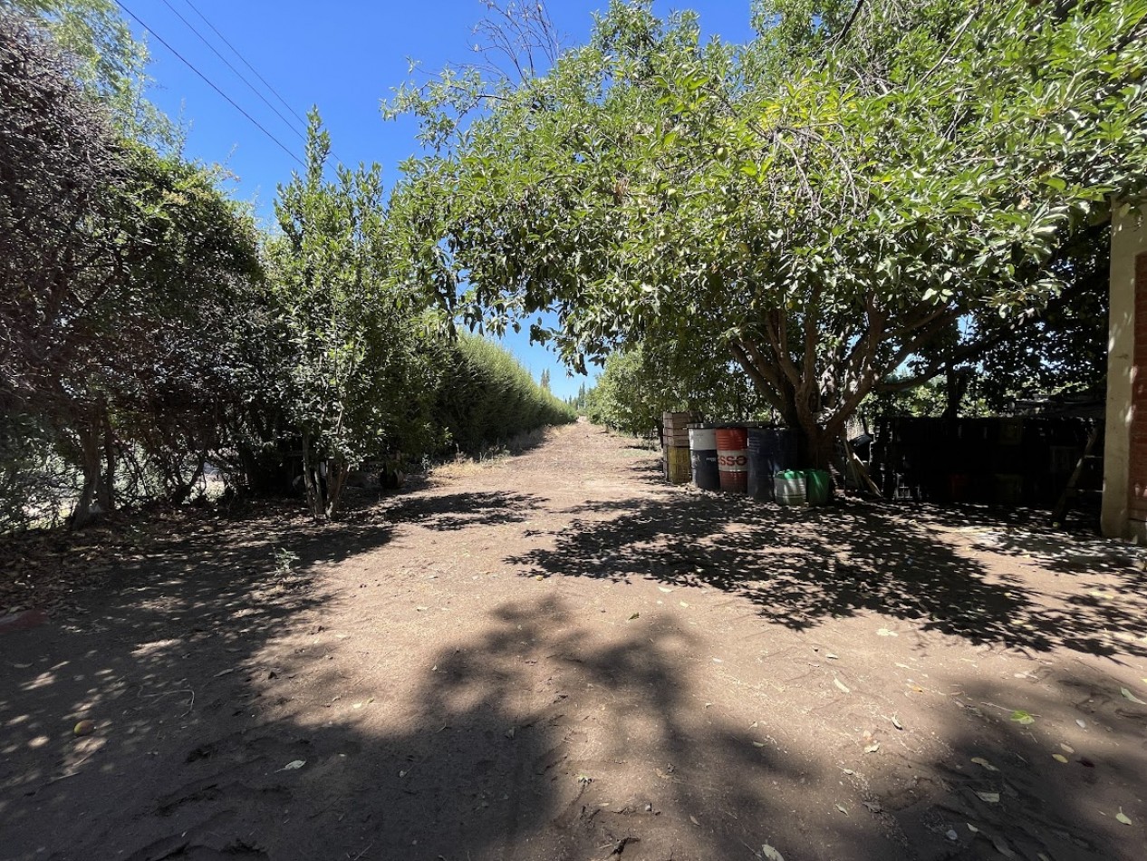 HERMOSA FINCA CON EXCELENTE CASA