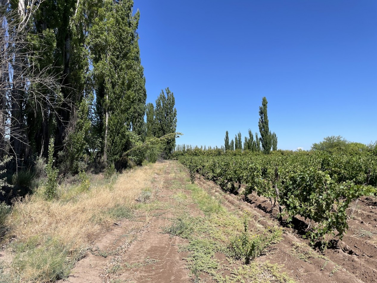 HERMOSA FINCA CON EXCELENTE CASA