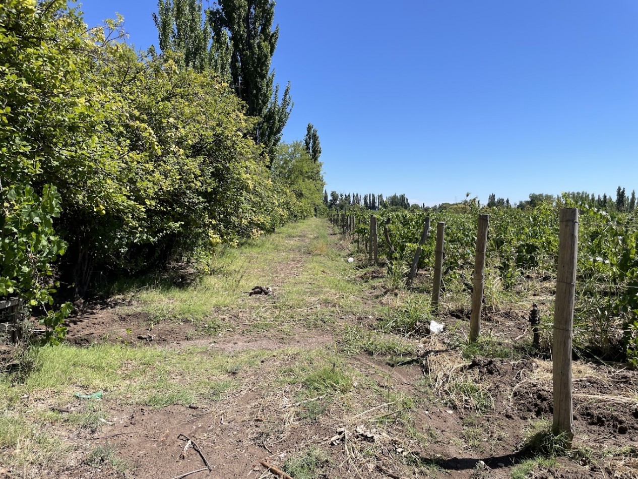 HERMOSA FINCA CON EXCELENTE CASA