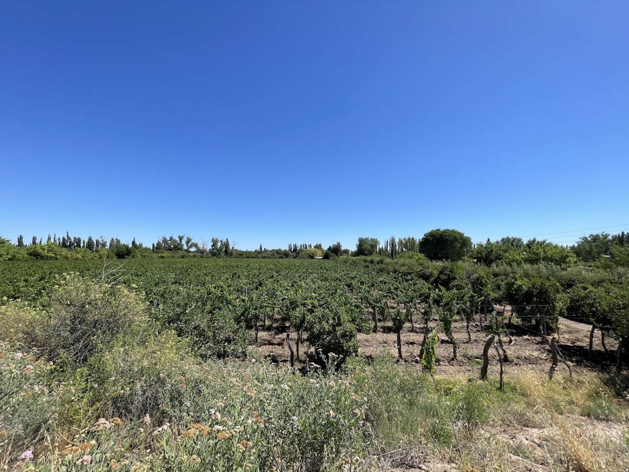 HERMOSA FINCA CON EXCELENTE CASA