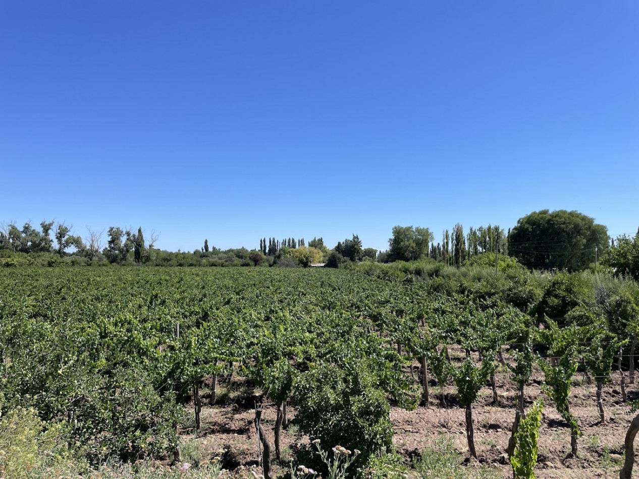 HERMOSA FINCA CON EXCELENTE CASA