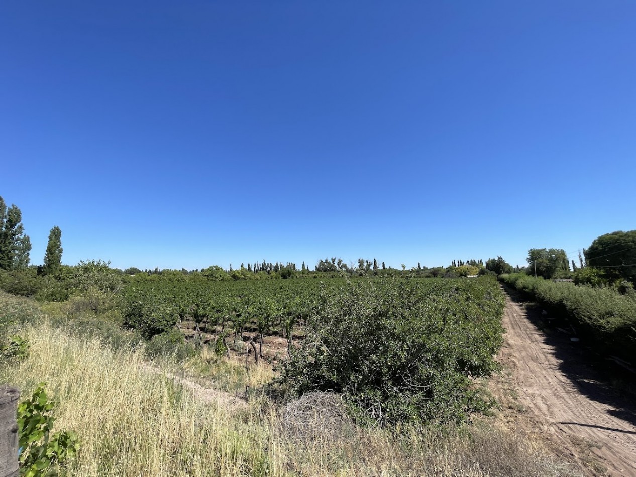 HERMOSA FINCA CON EXCELENTE CASA