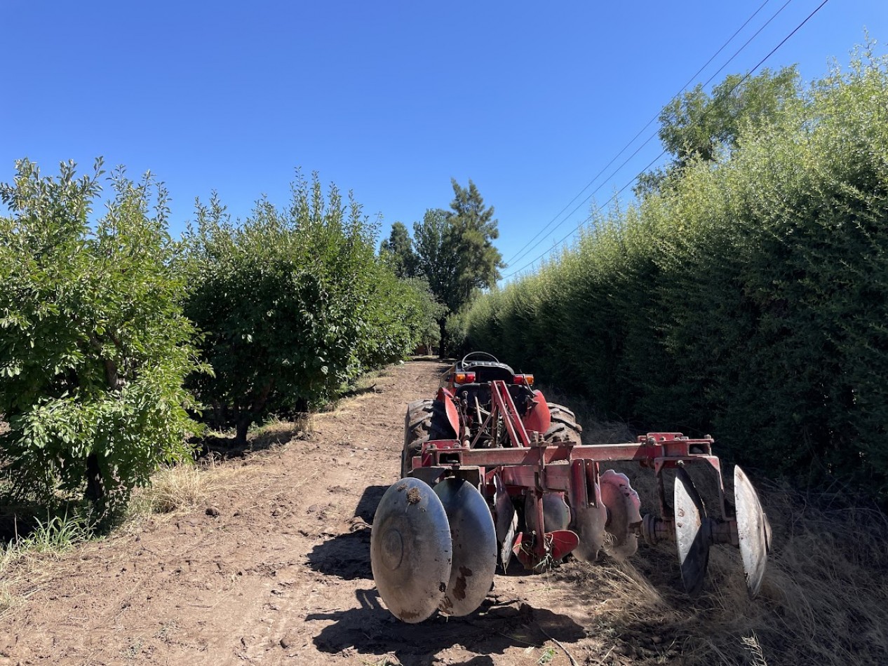 HERMOSA FINCA CON EXCELENTE CASA