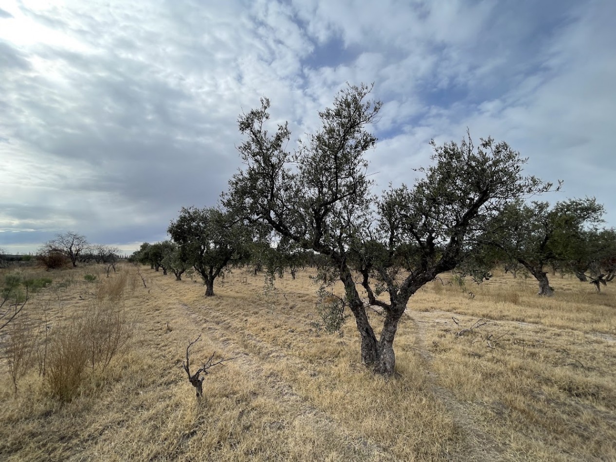 Finca de 2,8 hectareas con casa y galpon 