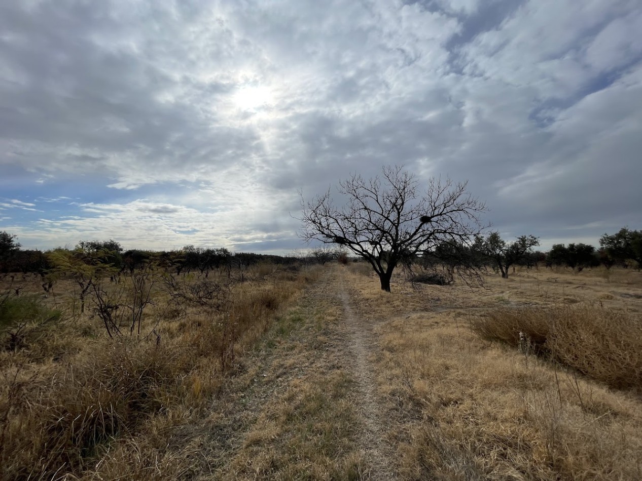 Finca de 2,8 hectareas con casa y galpon 