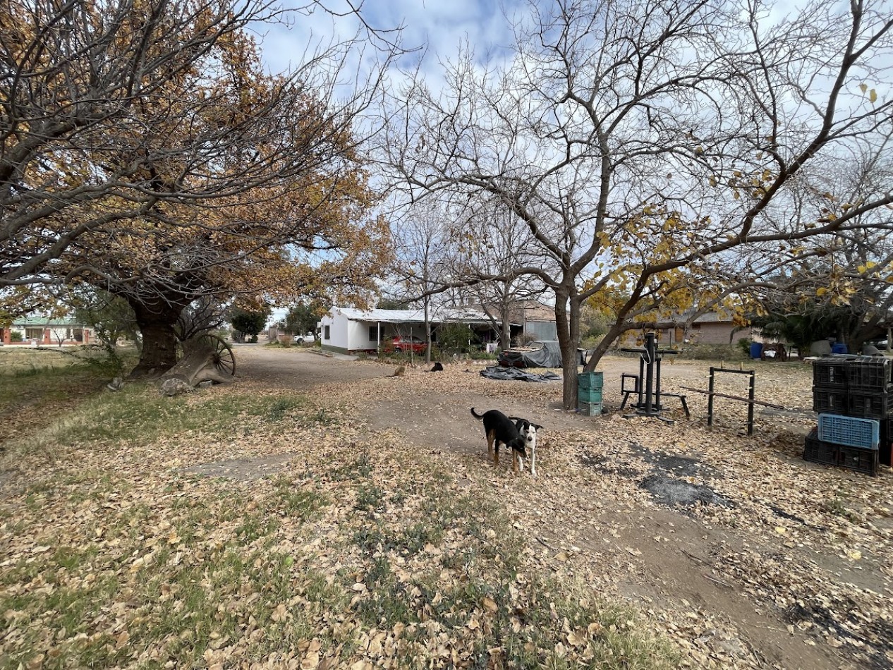 Finca de 2,8 hectareas con casa y galpon 