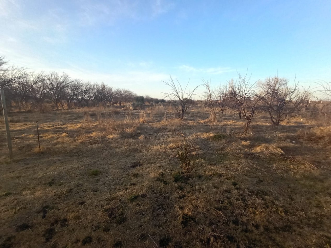 TERRENO DE 12.798 m² CON DOS CASAS Y QUINCHO EN CALLE LAS MALVINAS , EL CERRITO, SAN RAFAEL, MENDOZA