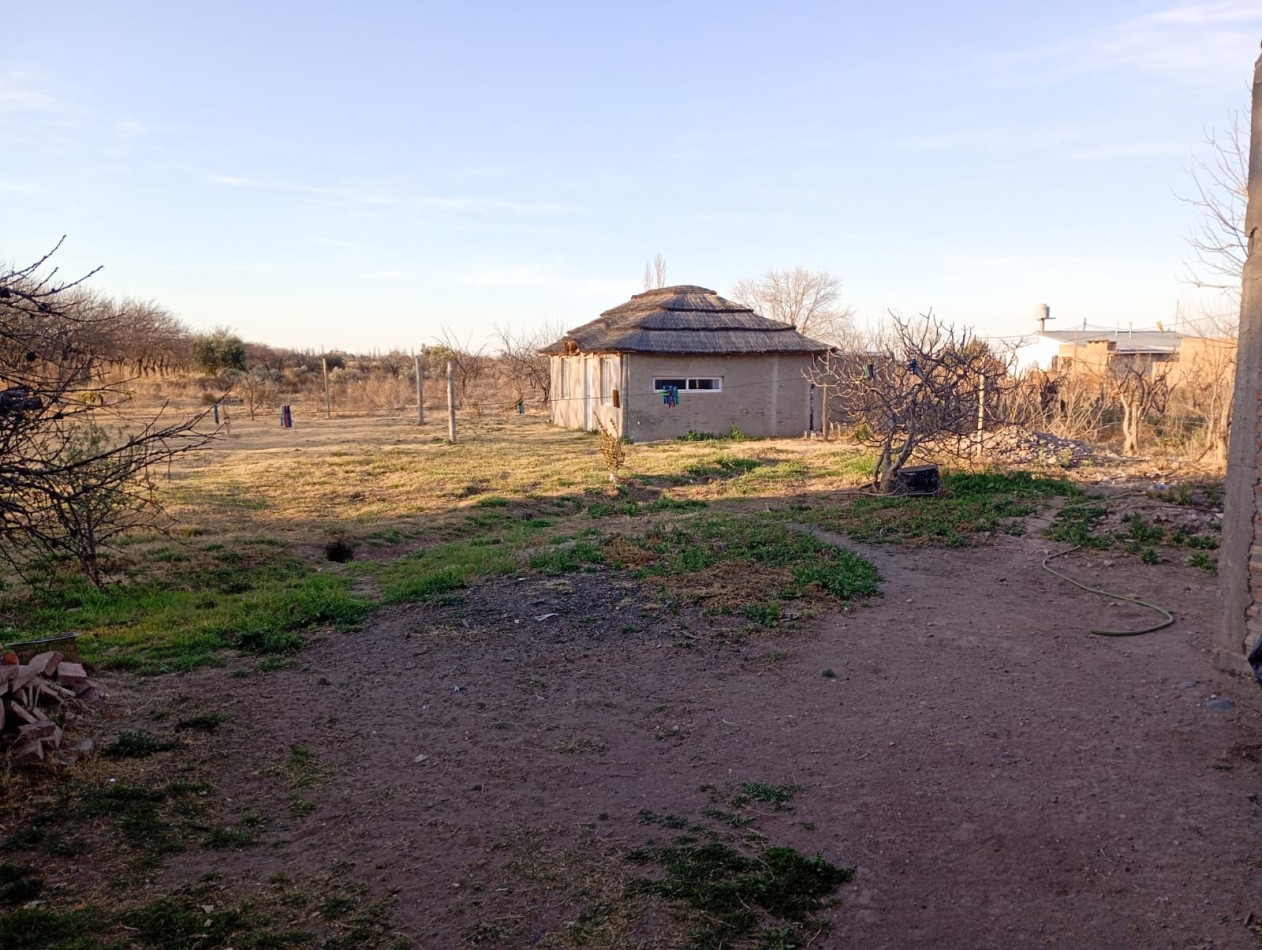 TERRENO DE 12.798 m² CON DOS CASAS Y QUINCHO EN CALLE LAS MALVINAS , EL CERRITO, SAN RAFAEL, MENDOZA