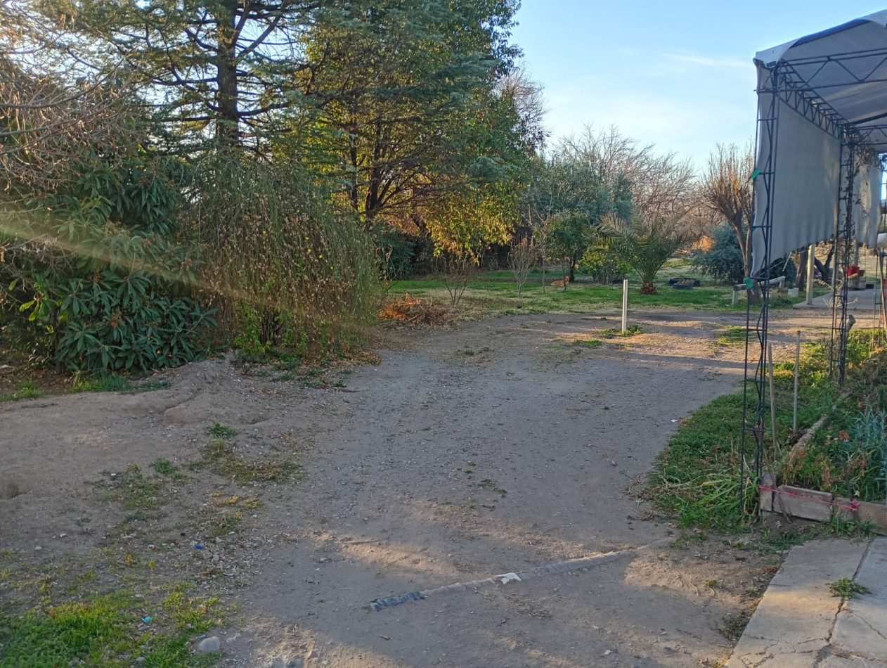 TERRENO DE 12.798 m² CON DOS CASAS Y QUINCHO EN CALLE LAS MALVINAS , EL CERRITO, SAN RAFAEL, MENDOZA
