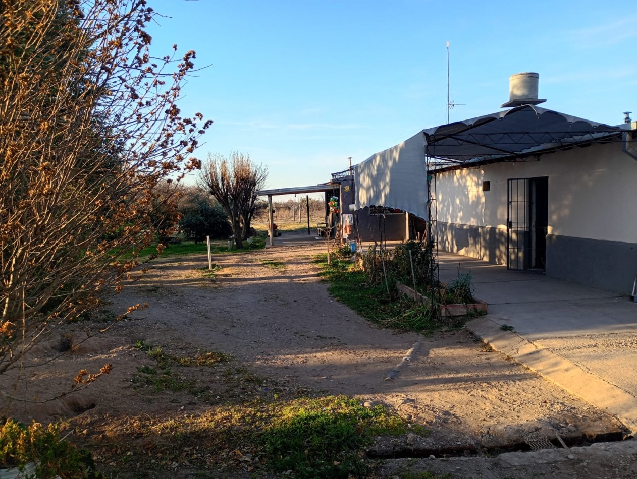TERRENO DE 12.798 m² CON DOS CASAS Y QUINCHO EN CALLE LAS MALVINAS , EL CERRITO, SAN RAFAEL, MENDOZA