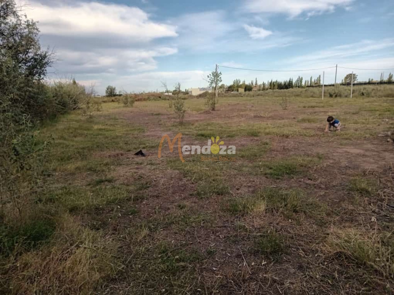 SE VENDE O PERMUTA  AMPLIO TERRENO EN LAS PAREDES A 10 MINUTOS DEL CENTRO DE SAN RAFAEL- MENDOZA