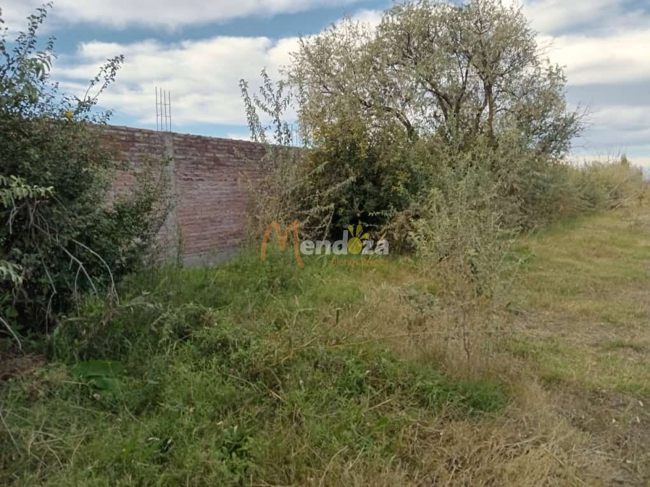 SE VENDE O PERMUTA  AMPLIO TERRENO EN LAS PAREDES A 10 MINUTOS DEL CENTRO DE SAN RAFAEL- MENDOZA