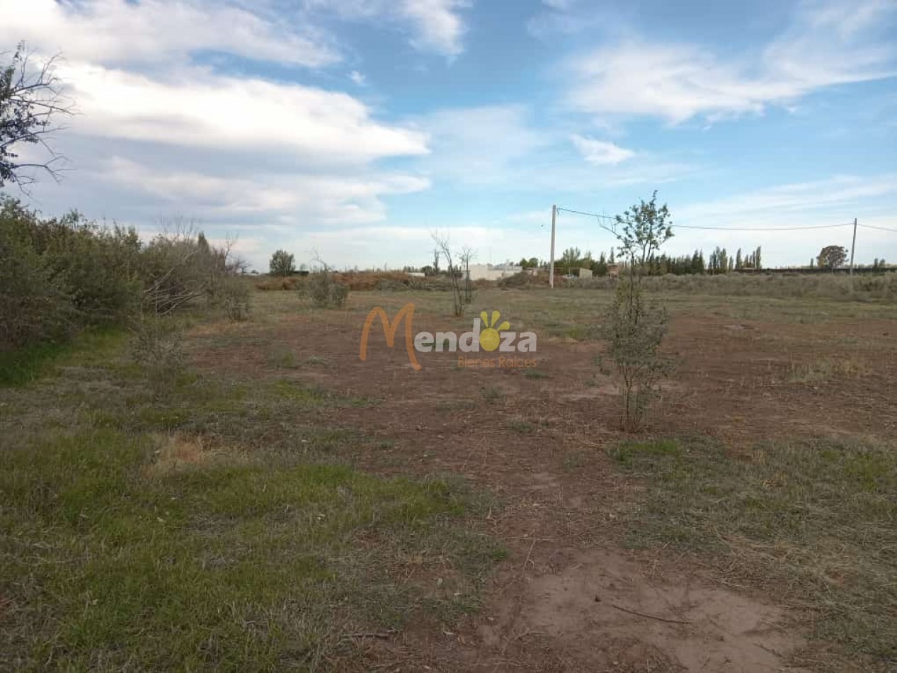 SE VENDE O PERMUTA  AMPLIO TERRENO EN LAS PAREDES A 10 MINUTOS DEL CENTRO DE SAN RAFAEL- MENDOZA