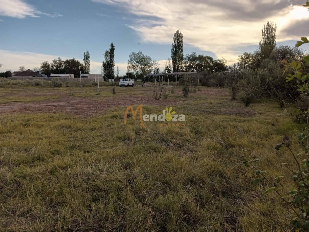 SE VENDE O PERMUTA  AMPLIO TERRENO EN LAS PAREDES A 10 MINUTOS DEL CENTRO DE SAN RAFAEL- MENDOZA