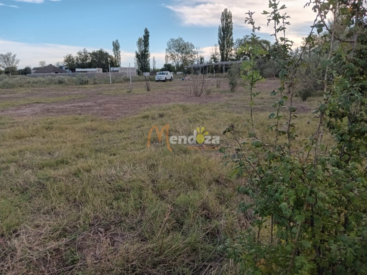 SE VENDE O PERMUTA  AMPLIO TERRENO EN LAS PAREDES A 10 MINUTOS DEL CENTRO DE SAN RAFAEL- MENDOZA