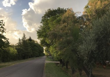 Finca de 2,8 hectáreas con casa y galpón 