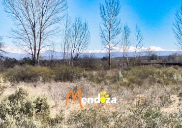 SE RECIBE UN VEHICULO por Finca de 3,6 hectareas  sobre camino turistico del vino.  